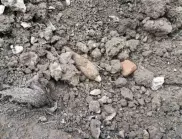 Откриха снаряд в двора на смолянчанин