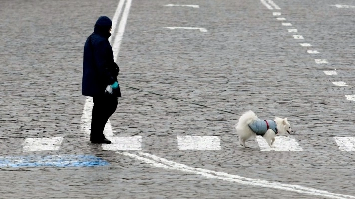 Вечерен виц: Софиянец и пловдивчанин вървят из Подуене