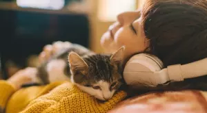 Защо да си вземете котка вкъщи   