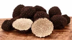 Вкусни съкровища от земята: България добива много трюфели, но други печелят