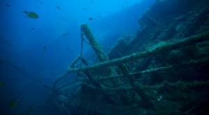 Виц на деня: Пътнически кораб потъва -  оцелели са само англичанин, французин и българин.