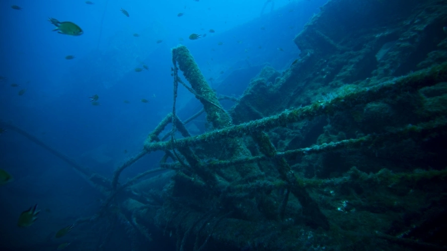 Виц на деня: Пътнически кораб потъва -  оцелели са само англичанин, французин и българин.