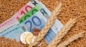 Забраната за внос на украинско зърно облагодетелства стотина земеделци, посочва бивш шеф на БАБХ