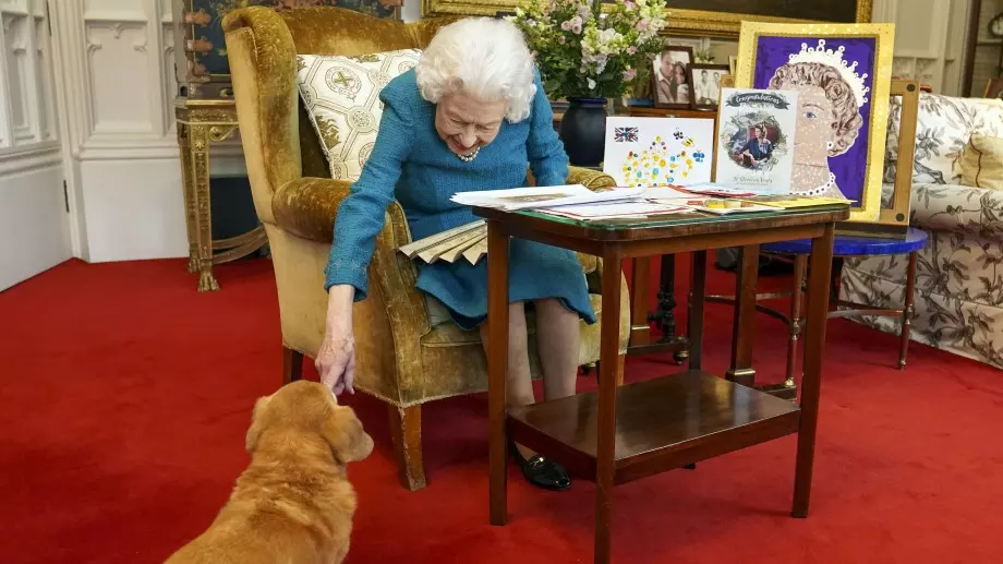 Цената на коргитата скочи рекордно след смъртта на Елизабет Втора