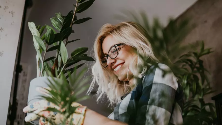 Направете това с някое от тези цветя и те ще станат магнит за пари