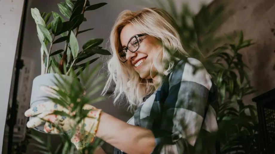 Тези растения ще донесат късмет и любов в дома ви