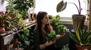 Не сте подозирали, че това цвете има ползи за здравето