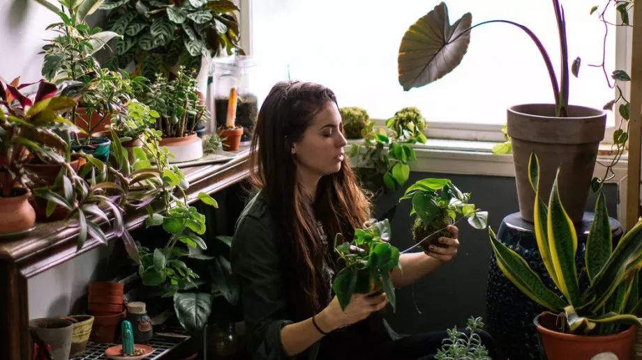 Не сте подозирали, че това цвете има ползи за здравето