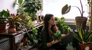 Това цвете пази дома ви от негативна енергия