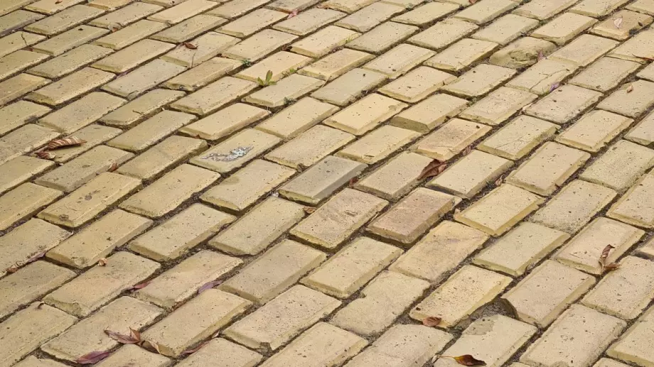 Тест: за кого да гласувам на изборите в София?