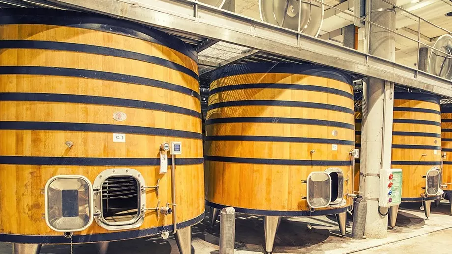 Северна страна  развива винената си индустрия заради затоплянето на климата