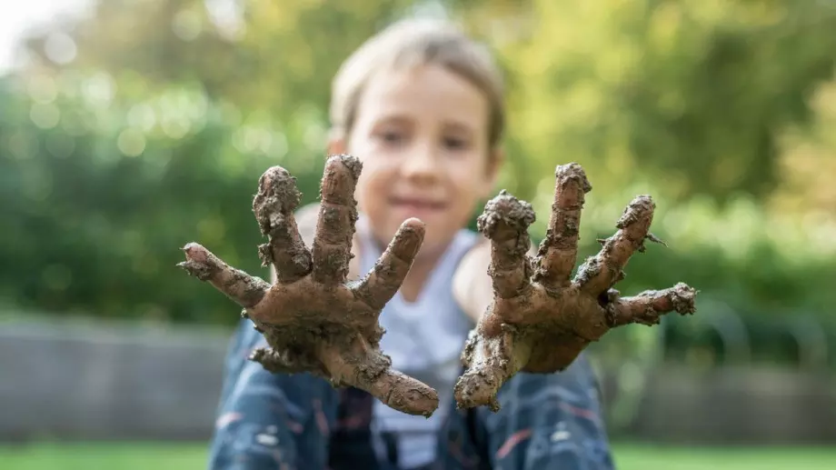 Калта – спасителят на детето от алергии и астма