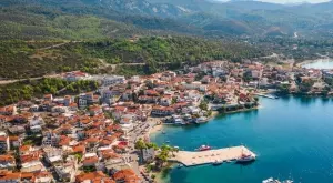 Заради климатичните промени: Халкидики остана без маслини