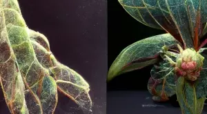 Изложба показва арт обекти, направени от всекидневни отпадъци