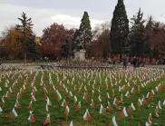 Поставиха близо 3000 трибагреника в памет на загиналите български герои