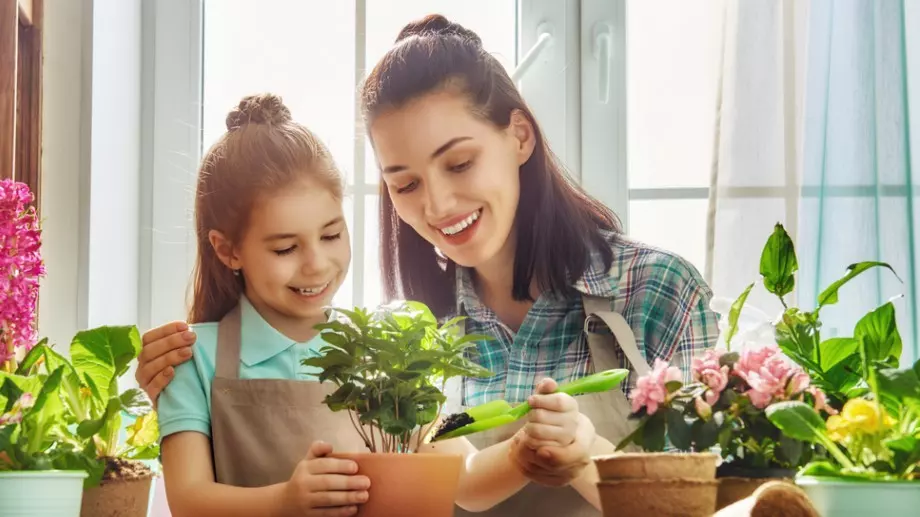 Какво цвете сте според месеца си на раждане