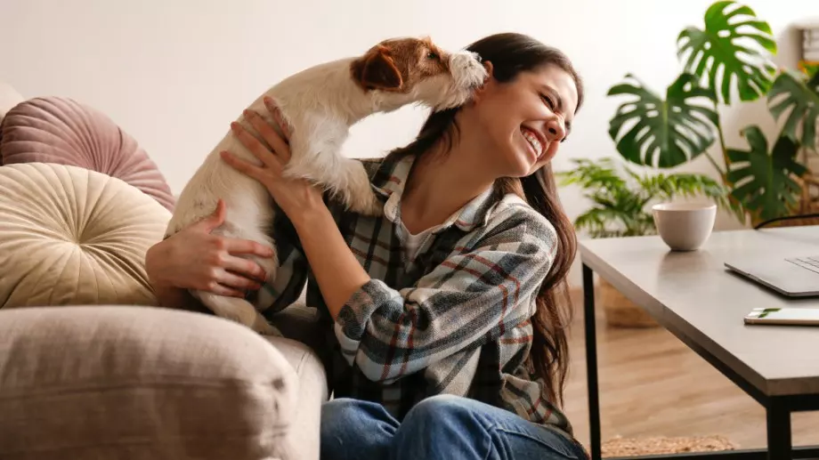 Най-големите грешки при отглеждането на куче  