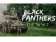 Viasat History представя историята на първата афро-американска бронирана част – Черните пантери