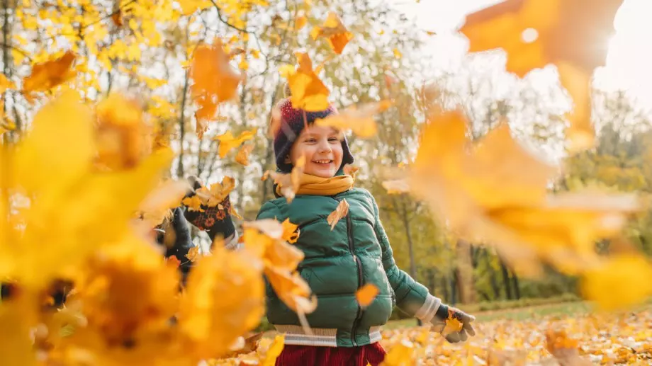 Стихотворение за 5 октомври 2023