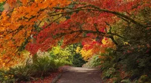 Стихотворение за 24 октомври 2023