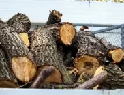 Финално: По 10 гарантирани кубика дърва на домакинство за зимата