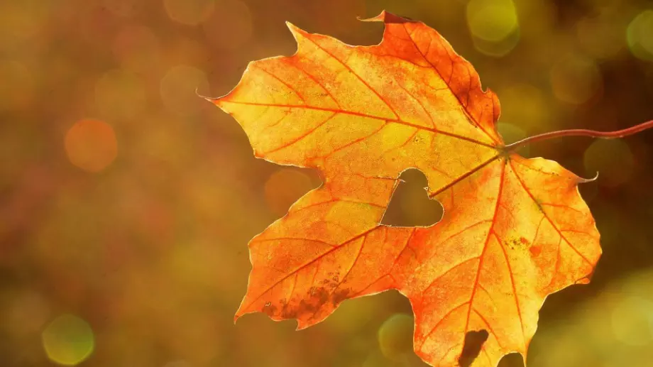 Кога настъпва астрономическата есен през 2023