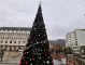 Асеновград с нова 9-метрова коледна елха