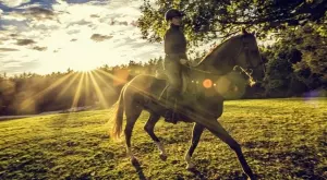 3 здравословни ползи от ездата