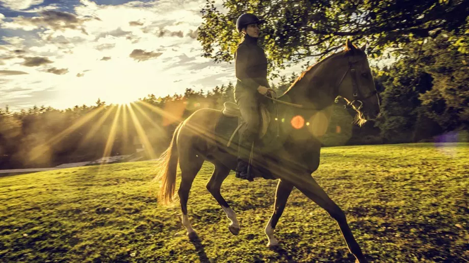 3 здравословни ползи от ездата