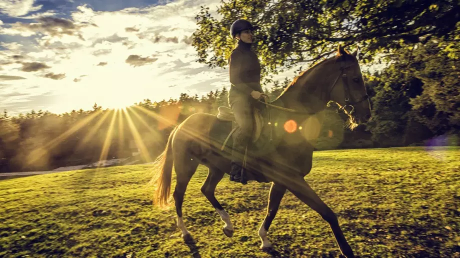 Една притча, която ще ви накара да се замислите