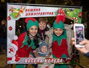 Коледни светлини озариха най-голямото живо коледно дърво в Европа (СНИМКИ)