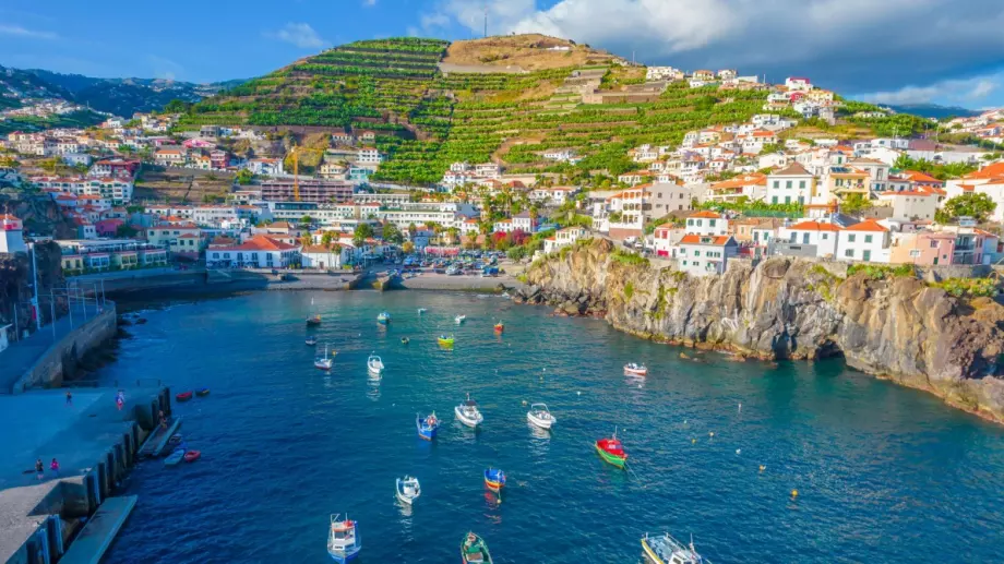 Португалия удължава до края на годината нулевата ставка върху ДДС за основни храни