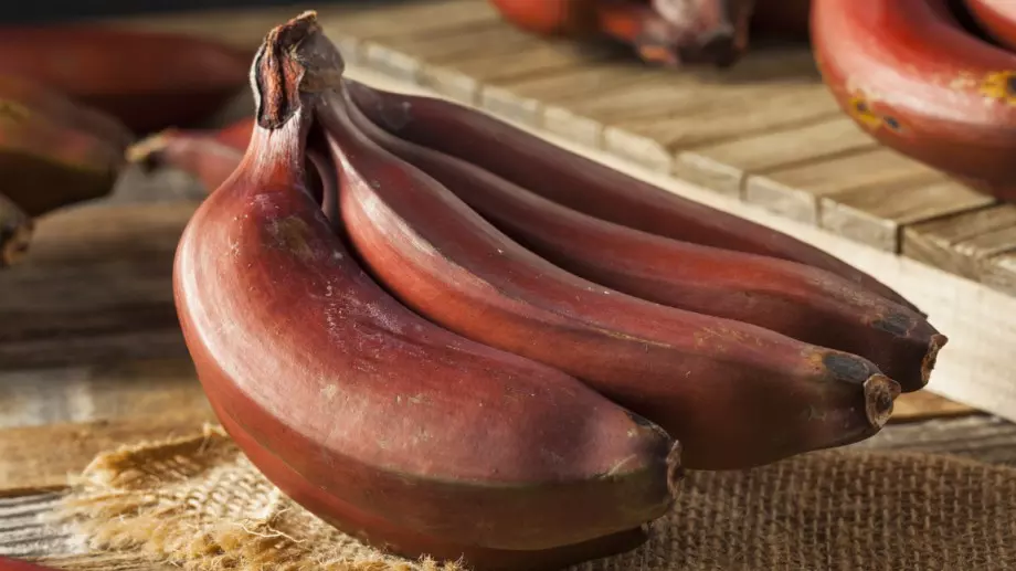 Защо да изберем червените банани пред жълтите