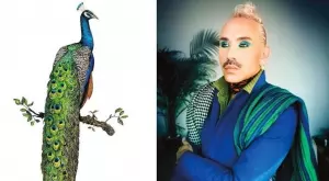 Пол Харфлийт: Мъжът, създаващ грим визии, вдъхновени от птиците