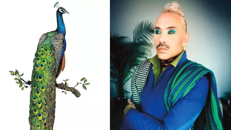 Пол Харфлийт: Мъжът, създаващ грим визии, вдъхновени от птиците