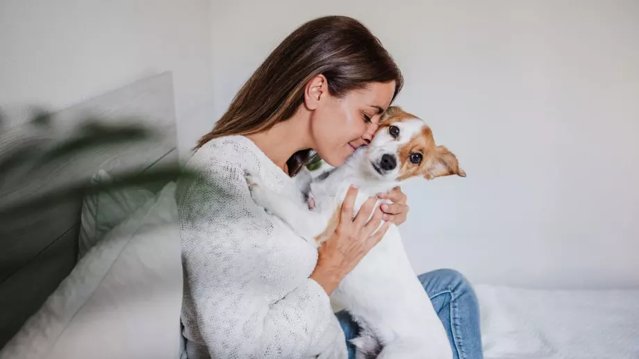 Как да намалите разходите за домашните си любимци 