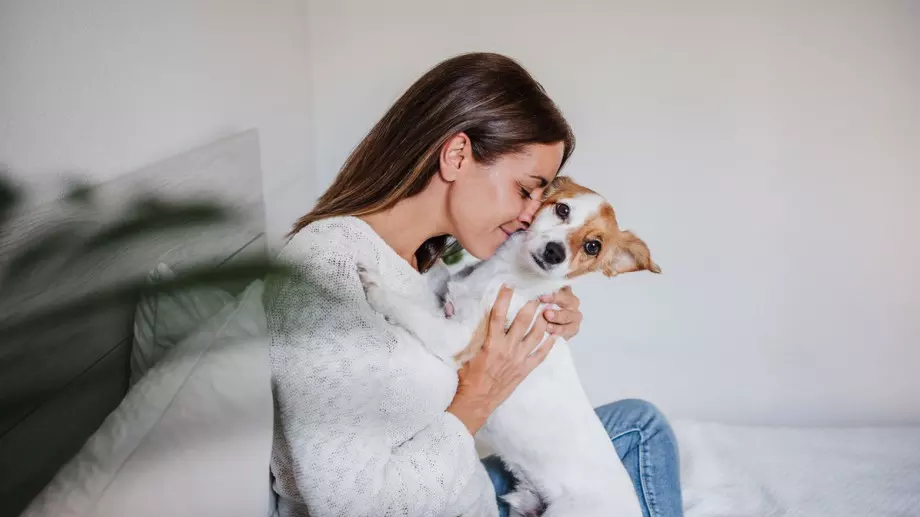 Супер интересни факти за кучетата