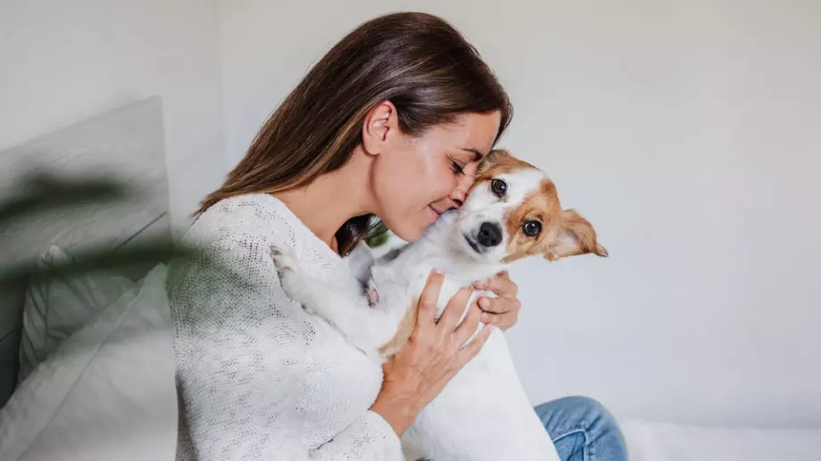 Без паника! Ето как правилно и лесно да извадите кърлеж от кучето си