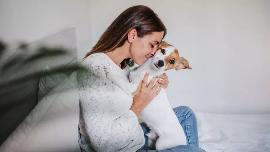 Ветеринар: Кучетата могат да поемат емоциите и заболяванията на собствениците си 