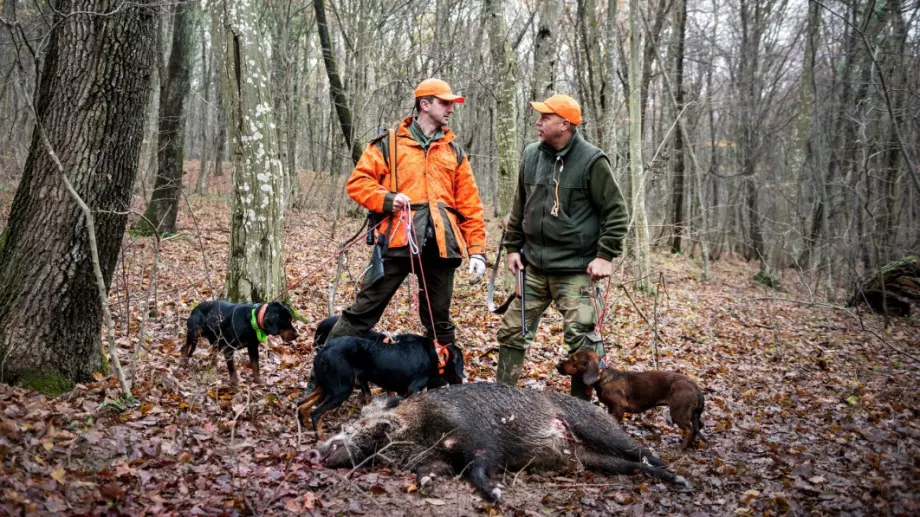 Виц на деня: Опитен ловец обучава новак в тайните на лова