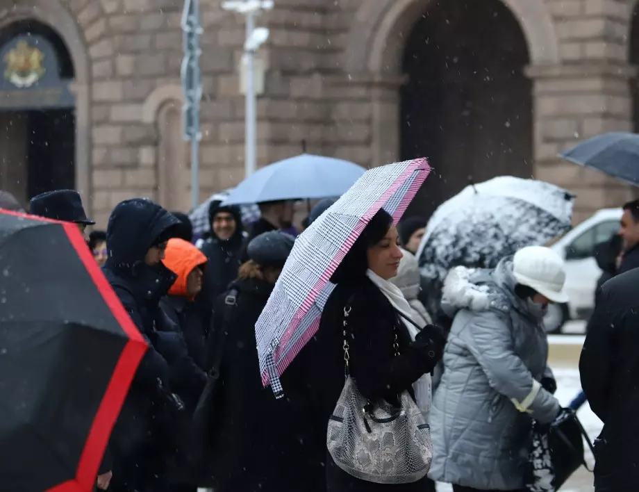 Служители на МВнР протестират за по-високи заплати