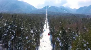 2022/12/15/0076176001671115086