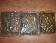 50 кг марихуана хванаха на "Капитан Андреево"