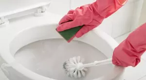 Бабин трик, с който тоалетна ще заблести от чистота за минути