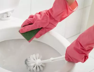 Тоалетната далеч не е най-мръсното нещо в дома - ще се учудите къде живеят най-много бактерии