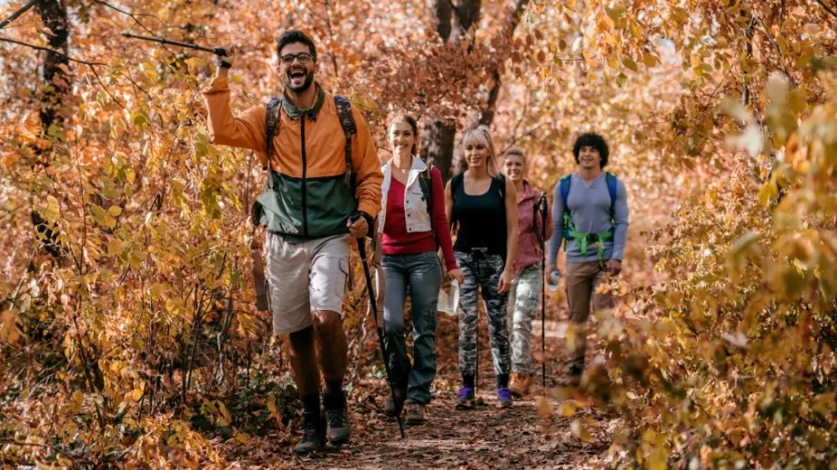 Виц на деня: Американските туристи, руснаците и мечката