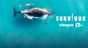 Survivor 7 с нова концепция и участие на зрителите в реално време 