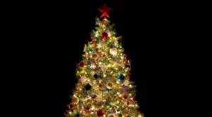 Рекорди на Гинес, свързани с коледната елха