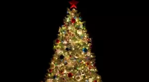 Ето къде е най-красивата елха в Европа (ВИДЕО)