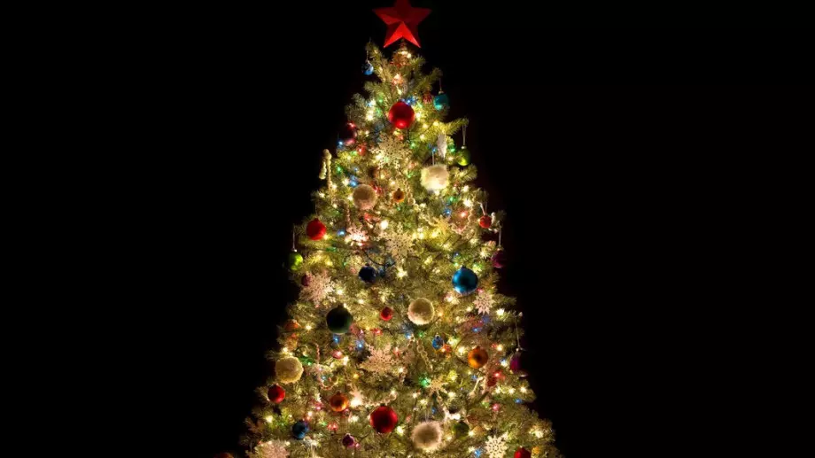 Ето къде е най-красивата елха в Европа (ВИДЕО)